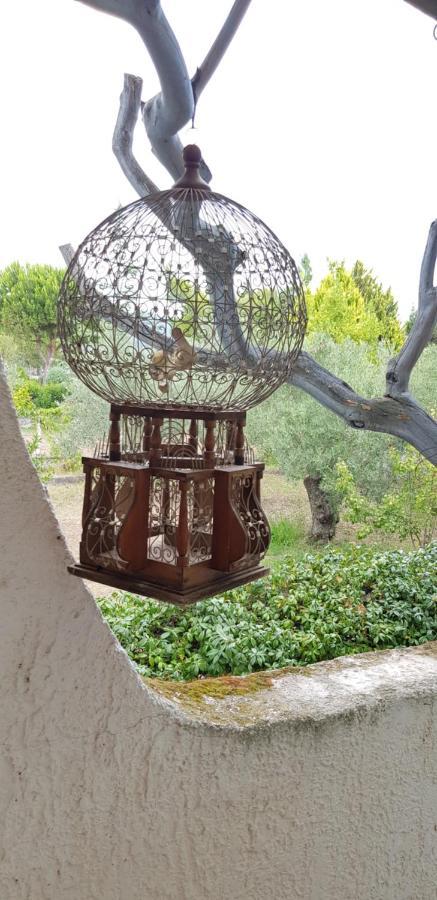 Karavómilos Country House By The Sea !!! 빌라 외부 사진